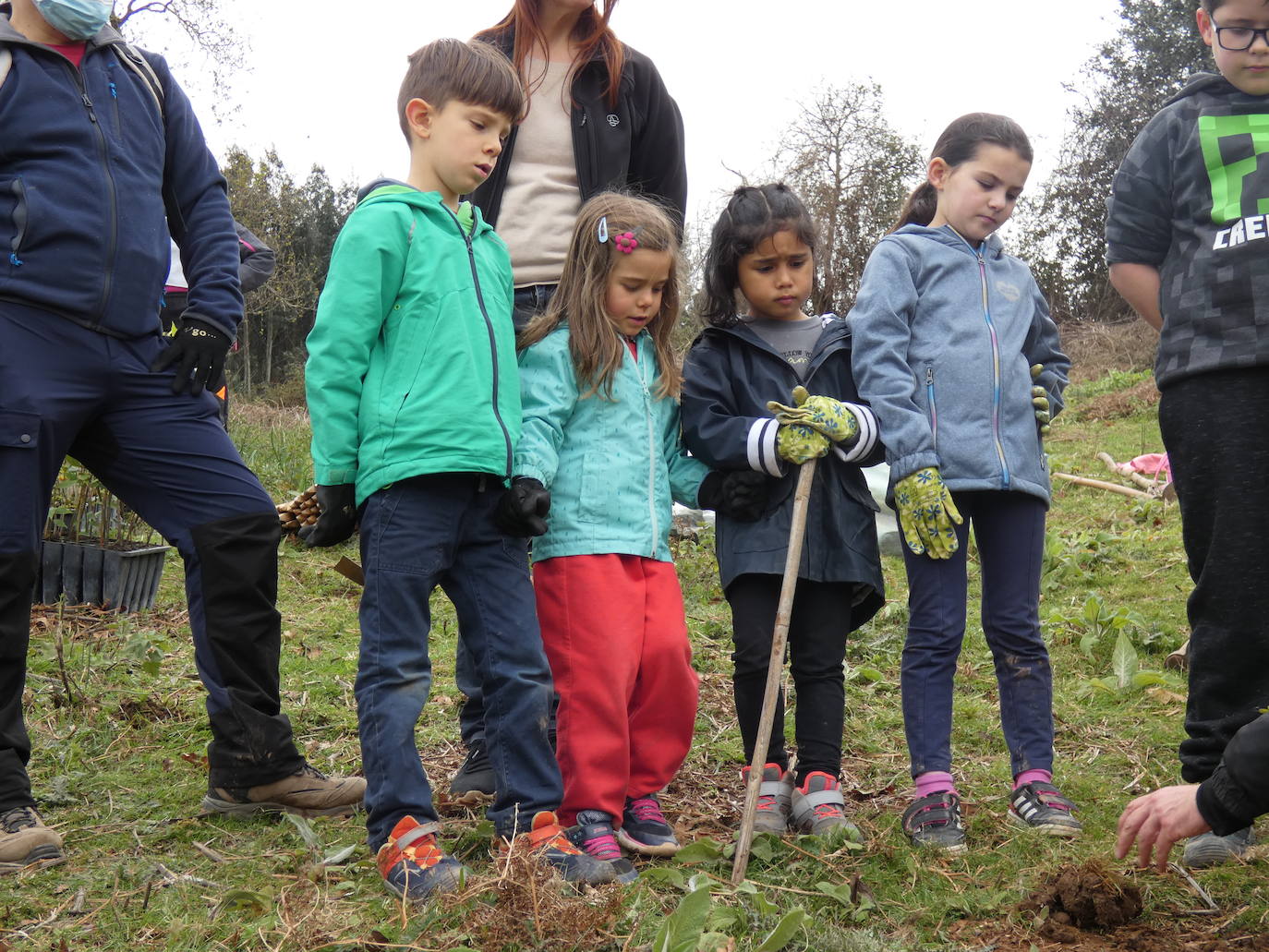 Fotos: Más de 80 voluntarios han participado en Colindres en la plantación de 200 árboles de distintas especies para conmemorar el Día del Árbol