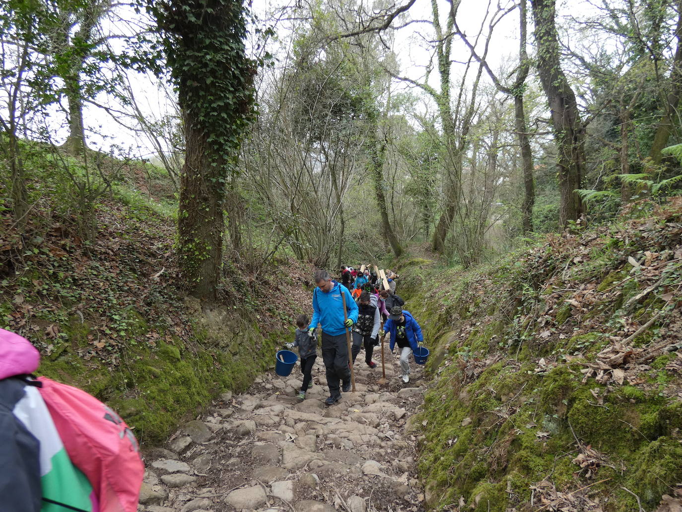 Fotos: Más de 80 voluntarios han participado en Colindres en la plantación de 200 árboles de distintas especies para conmemorar el Día del Árbol