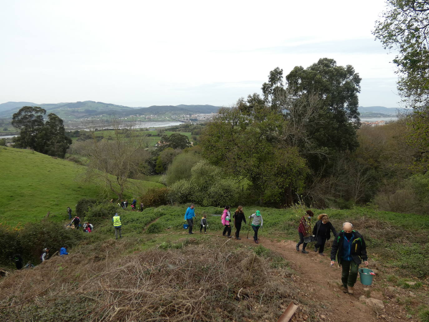 Fotos: Más de 80 voluntarios han participado en Colindres en la plantación de 200 árboles de distintas especies para conmemorar el Día del Árbol