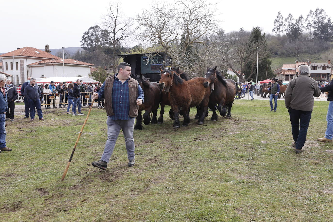 Fotos: El I Concurso Morfológico Regional de Ganado Equino de Raza Hispano-Bretona de Ruente se salda con éxito de afluencia y buen tiempo