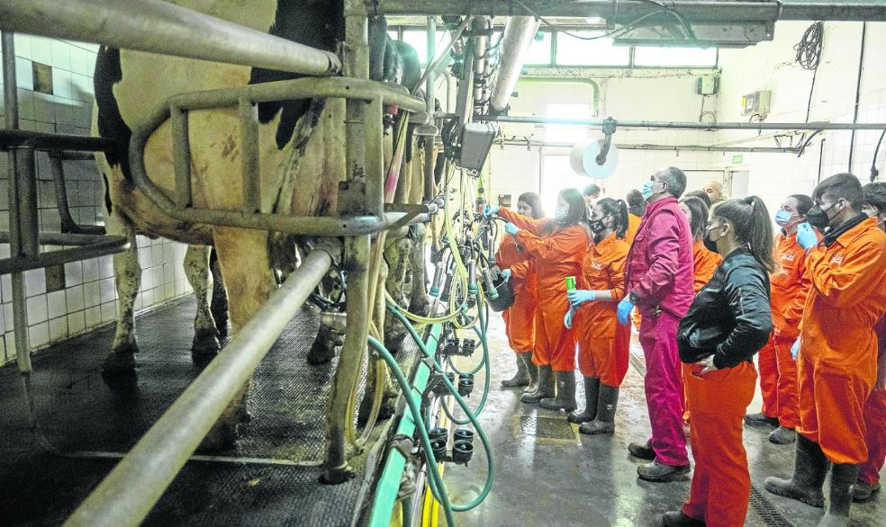 Los alumnos, junto a un docente, aprenden el manejo de una sala de ordeño.