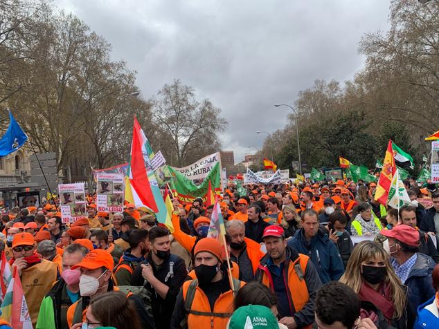 Fotos: Más de cuatro mil cántabros se suman en Madrid al clamor en defensa del mundo rural