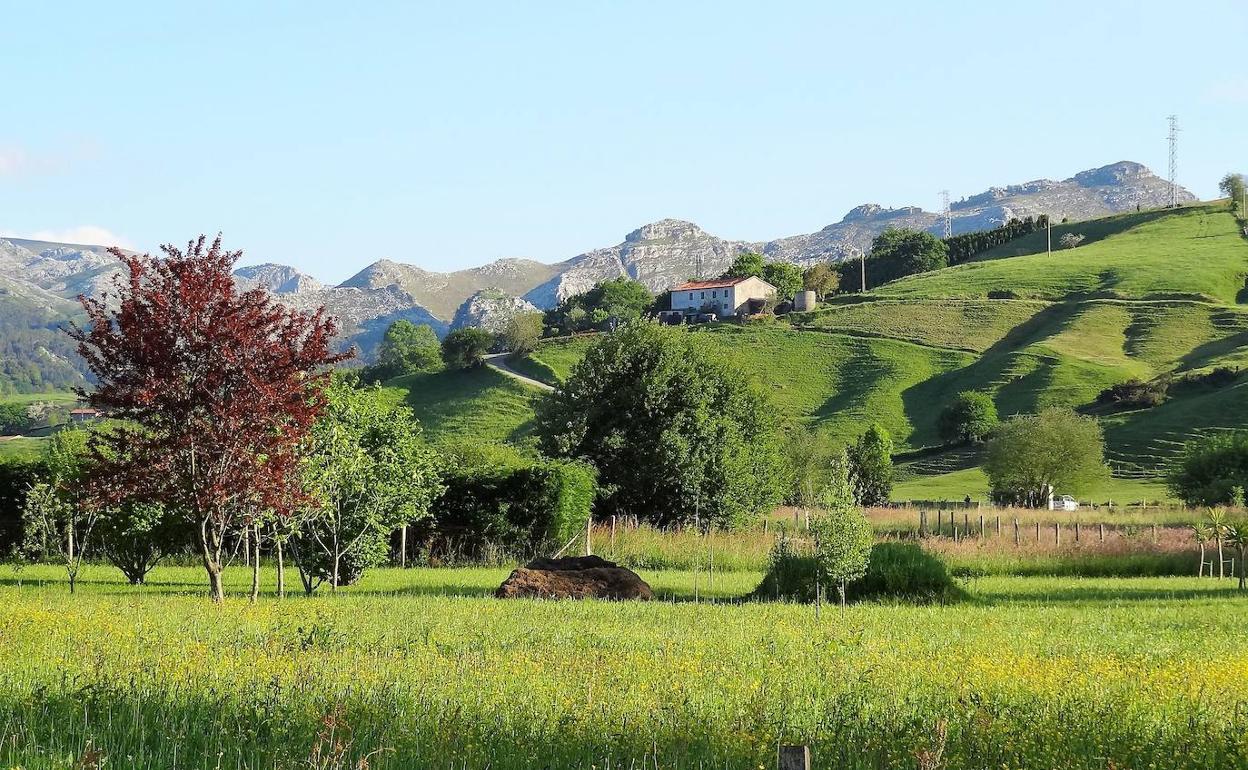 Vistas de Las Tarolas, lugar entre Ceceñas y La Cavada.