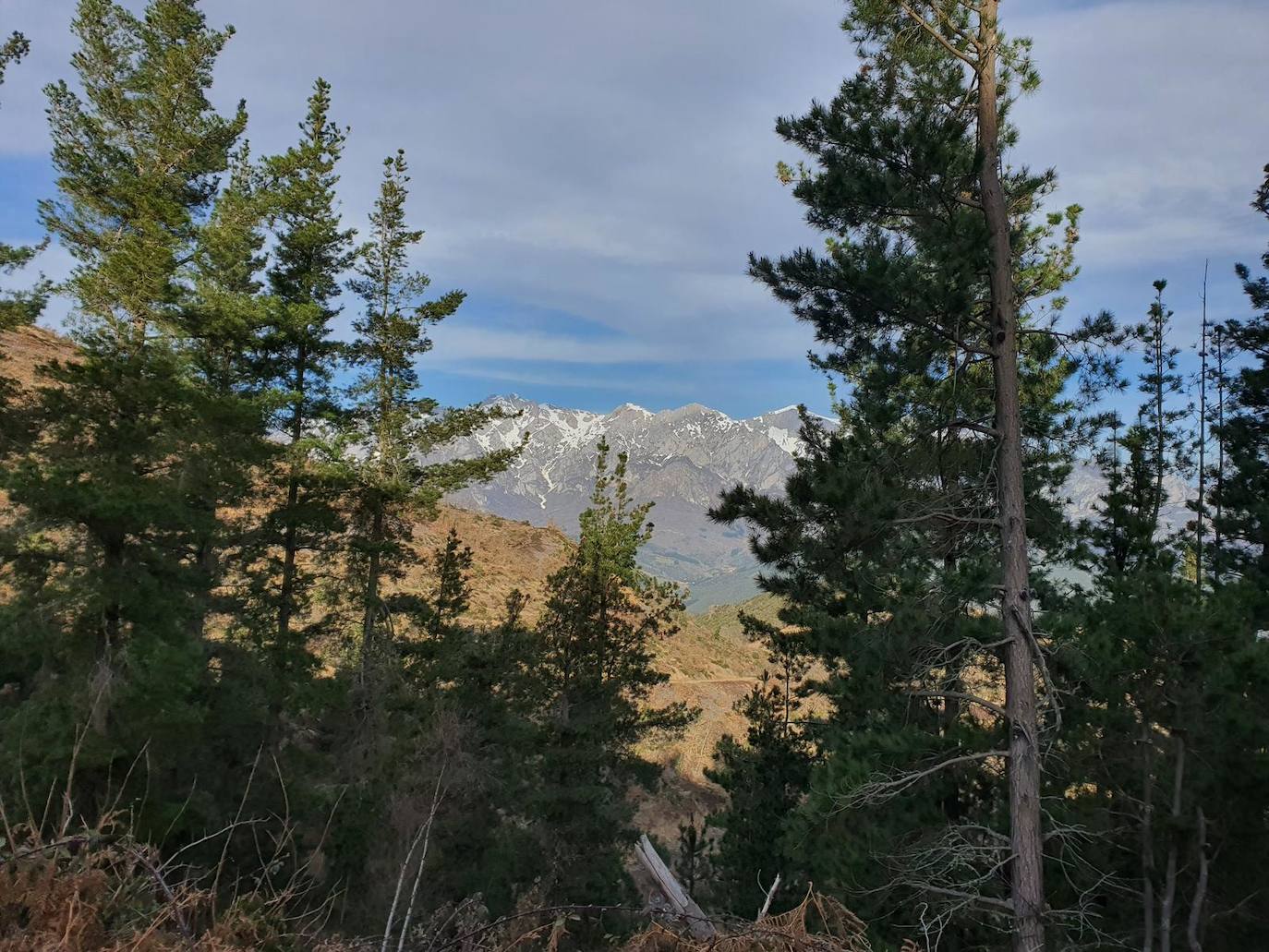 Vistas de parte del macizo oriental de Picos de Europa