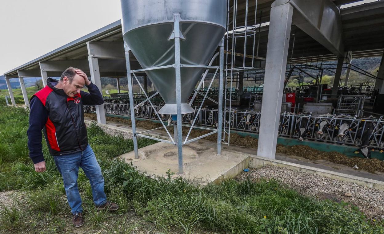 «No sé si mañana nos recogerán la leche»