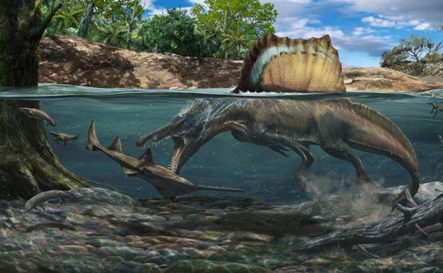 'Spinosaurus' abre sus mandíbulas, tachonadas de dientes cónicos, para cazar una presa. 