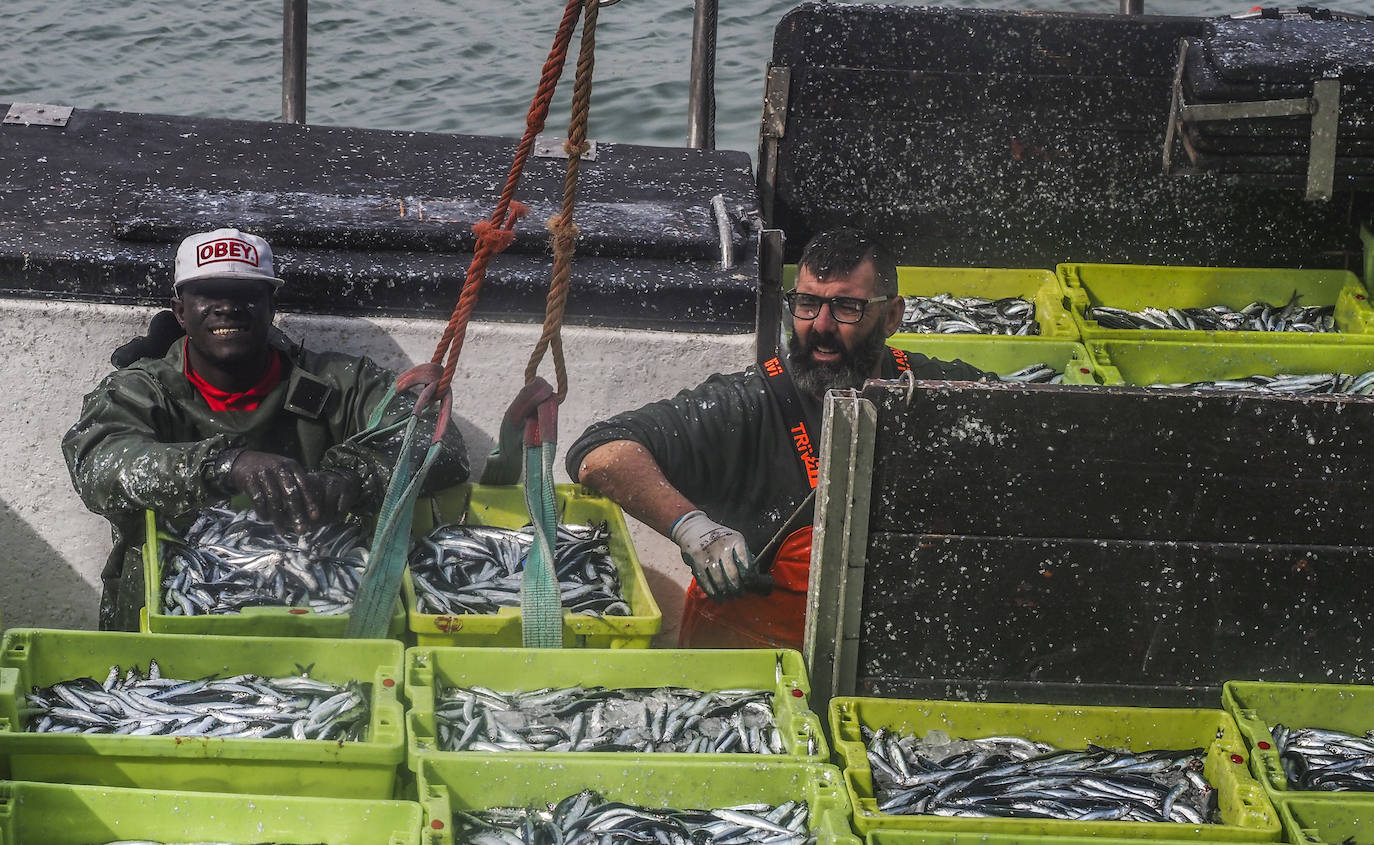 Los barcos de pesca de Cantabria han regresado este lunes a faenar.