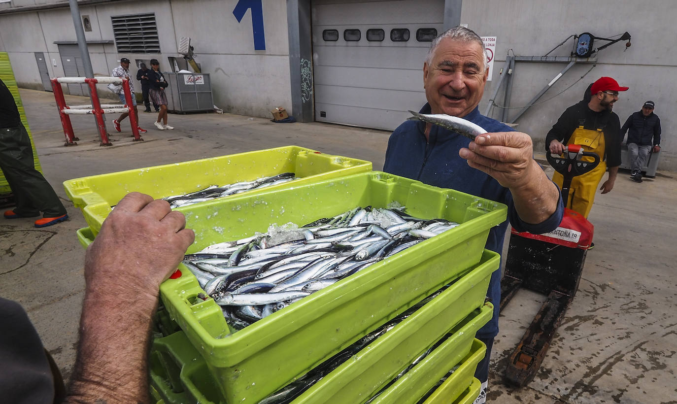 Los barcos de pesca de Cantabria han regresado este lunes a faenar.