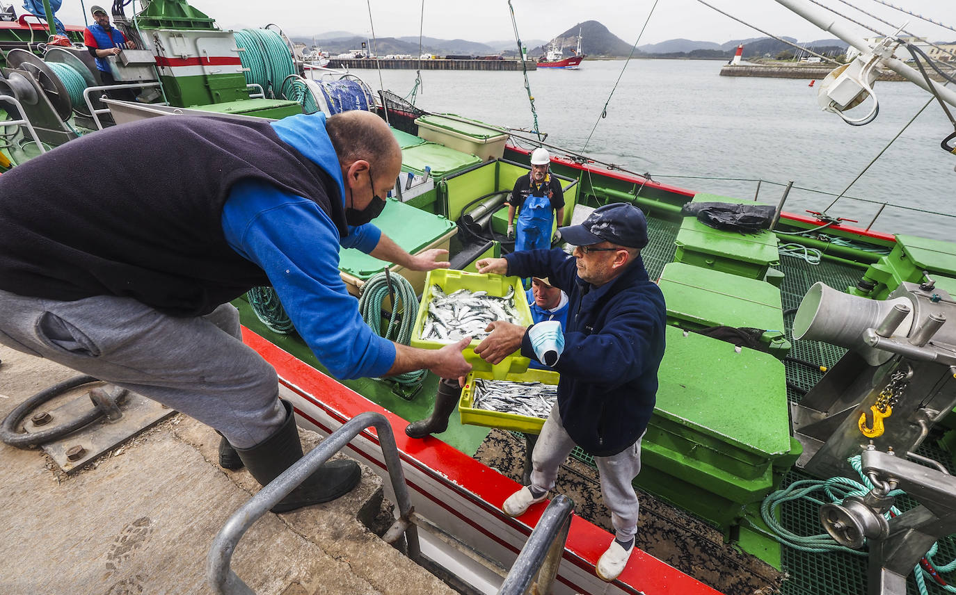 Los barcos de pesca de Cantabria han regresado este lunes a faenar.