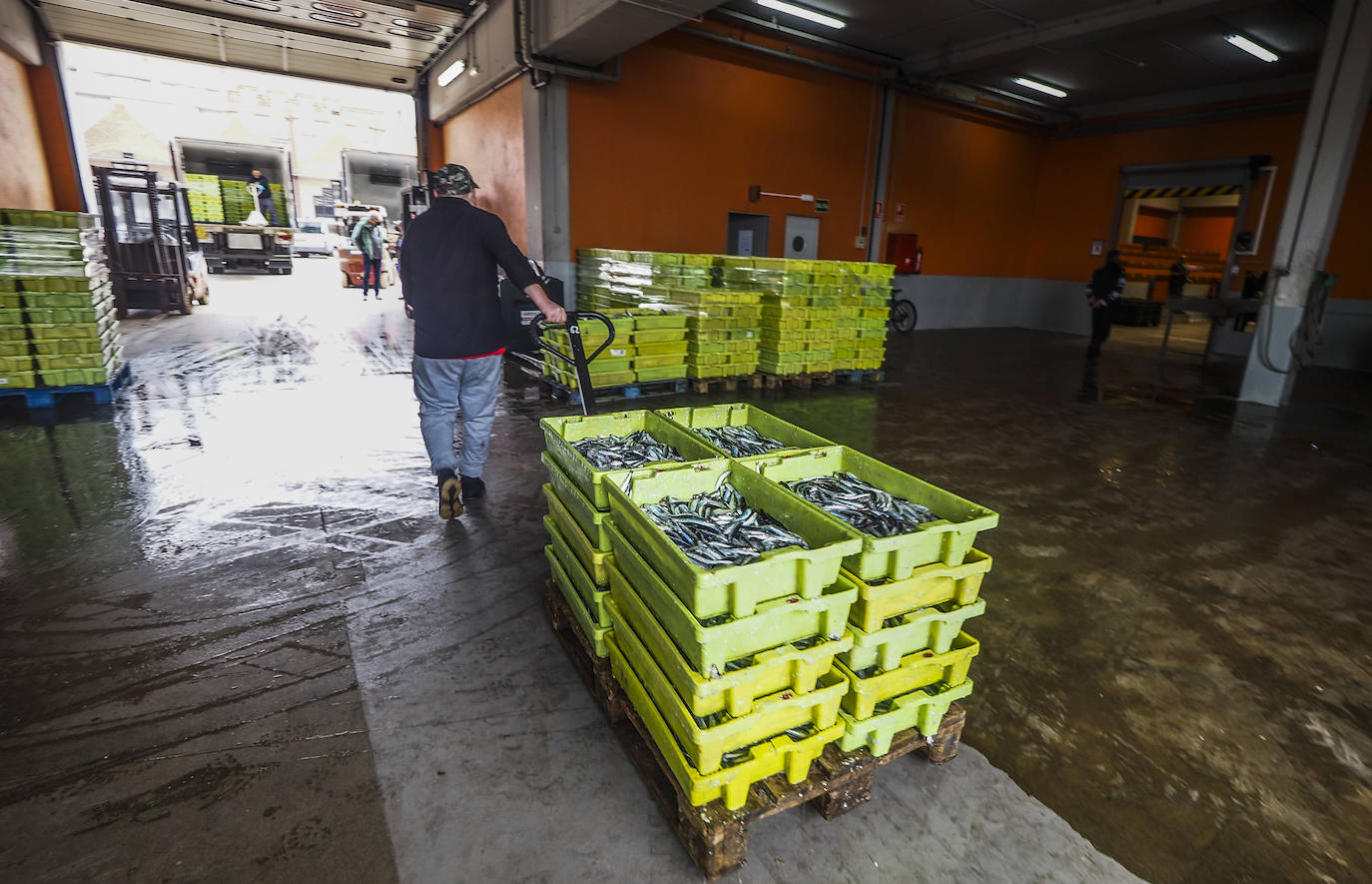 Los barcos de pesca de Cantabria han regresado este lunes a faenar.