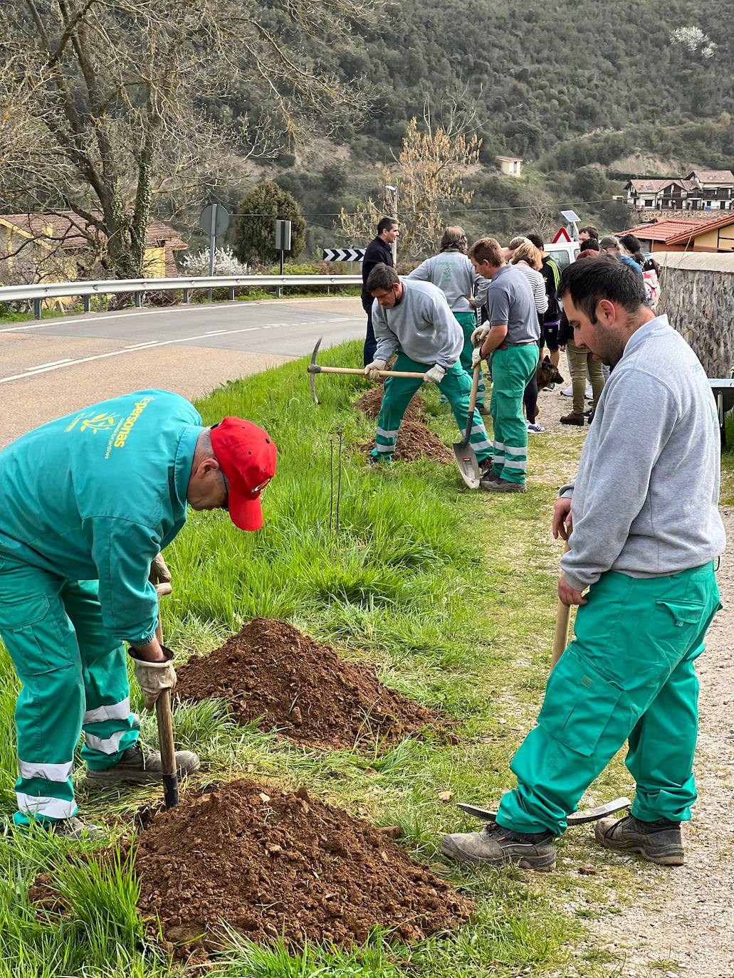 Fotos: Plantación de especies autóctonas en el Camino Lebaniego