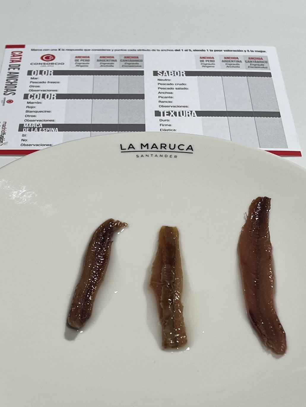 Fotos: La anchoa del Cantábrico luce en Madrid Fusión