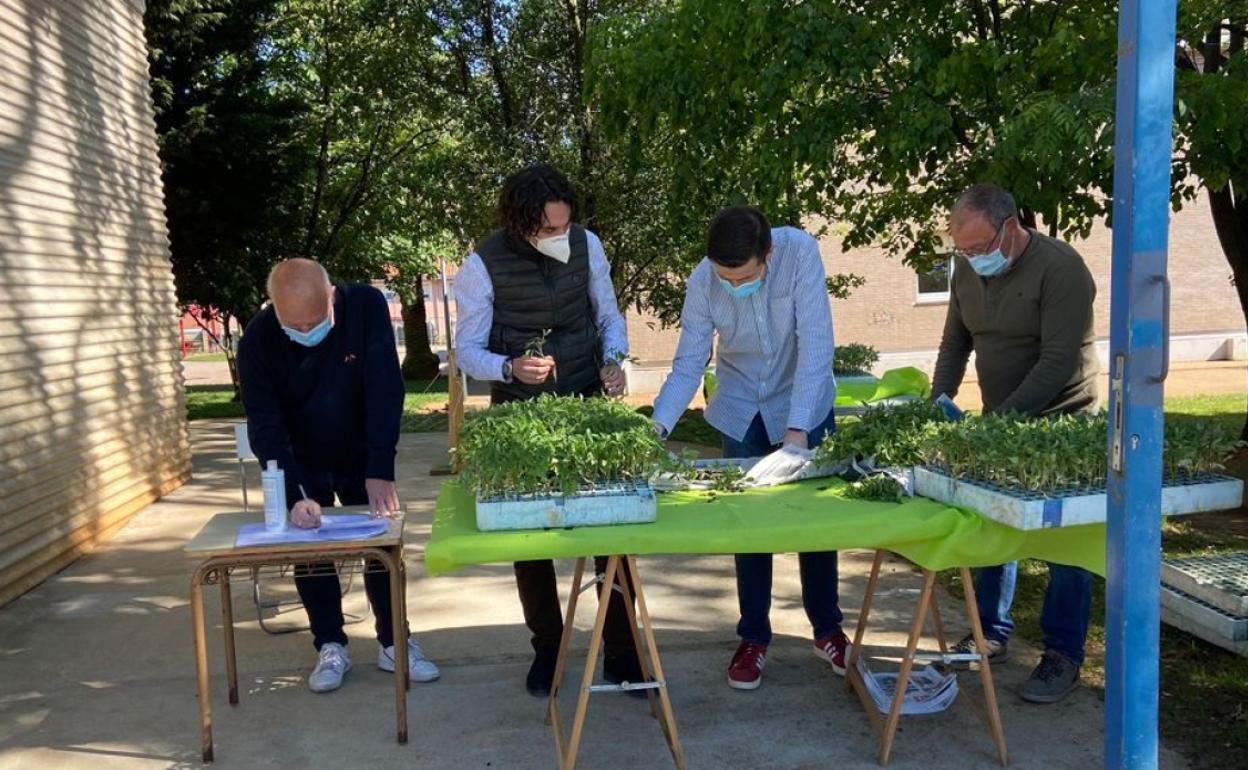 El reparto de plantas de tomate se llevará a cabo bajo inscripción. 