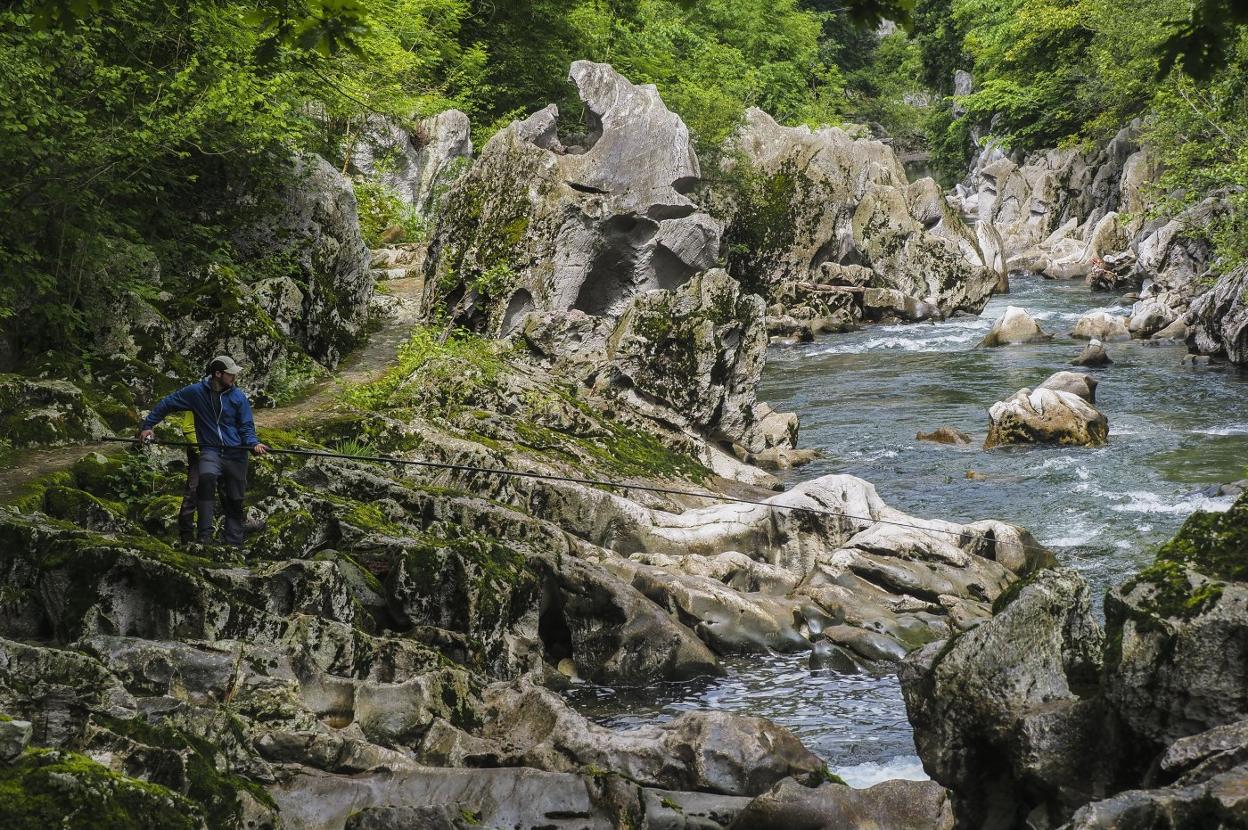 Coto de Puente Viesgo, en el Pas. En esta zona se sacó el campanu el año pasado. 