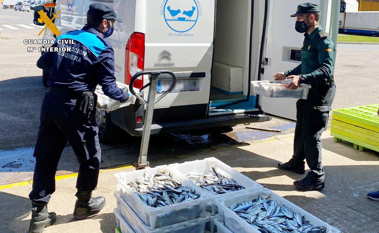 Un inspector de Pesca y un agente de la Guardia Civil cargando las cajas de pescado en una furgoneta del Banco de Alimentos.