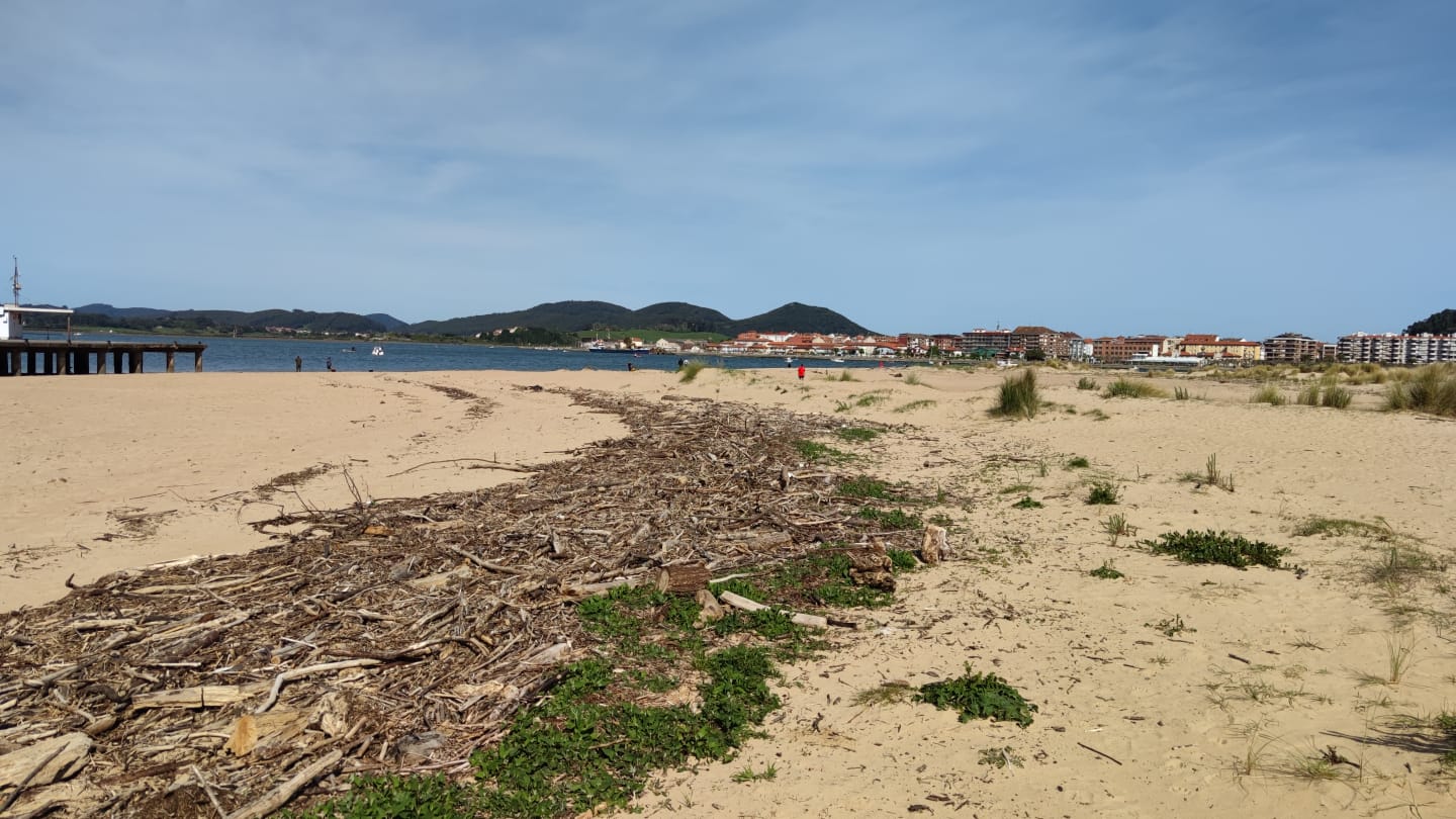 A las seis de la mañana de hoy, miércoles, trabajadores de la empresa FCC han dado comienzo a las tareas de limpieza manual y de mantenimiento de la playa Salvé. Se trata de una intervención incluida en las diez actuaciones a desarrollar durante los meses de octubre de 2021 a junio de 2022, tal y como se recoge en el pliego técnico de prestación de servicio actualmente vigente, dentro del apartado denominado 'fuera de temporada'. 