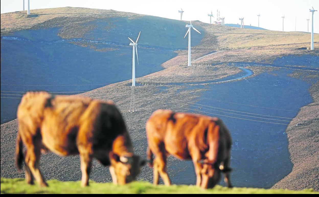 Cantabria permitirá la instalación de eólicos en 19 municipios, pero solo en el 3% del territorio