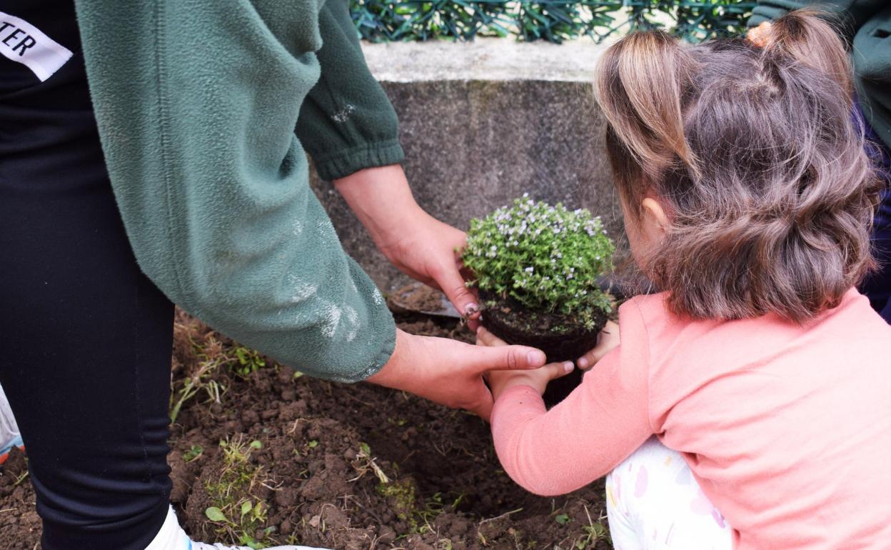 El servicio de guardería-ludoteca ofrece actividades para los más pequeños centradas en el aprendizaje de diferentes materias.