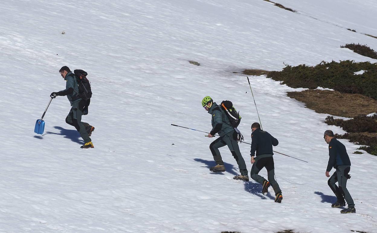 Efectivos del Greim de la Guardia Civil realizando prácticas de rescate en avalanchas en la Estación de Esquí y Montaña Alto Campoo durante la crisis sanitaria mundial del coronavirus.