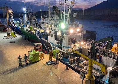 Imagen secundaria 1 - El puerto de Laredo desembarca más de 200.000 kilos de bocarte