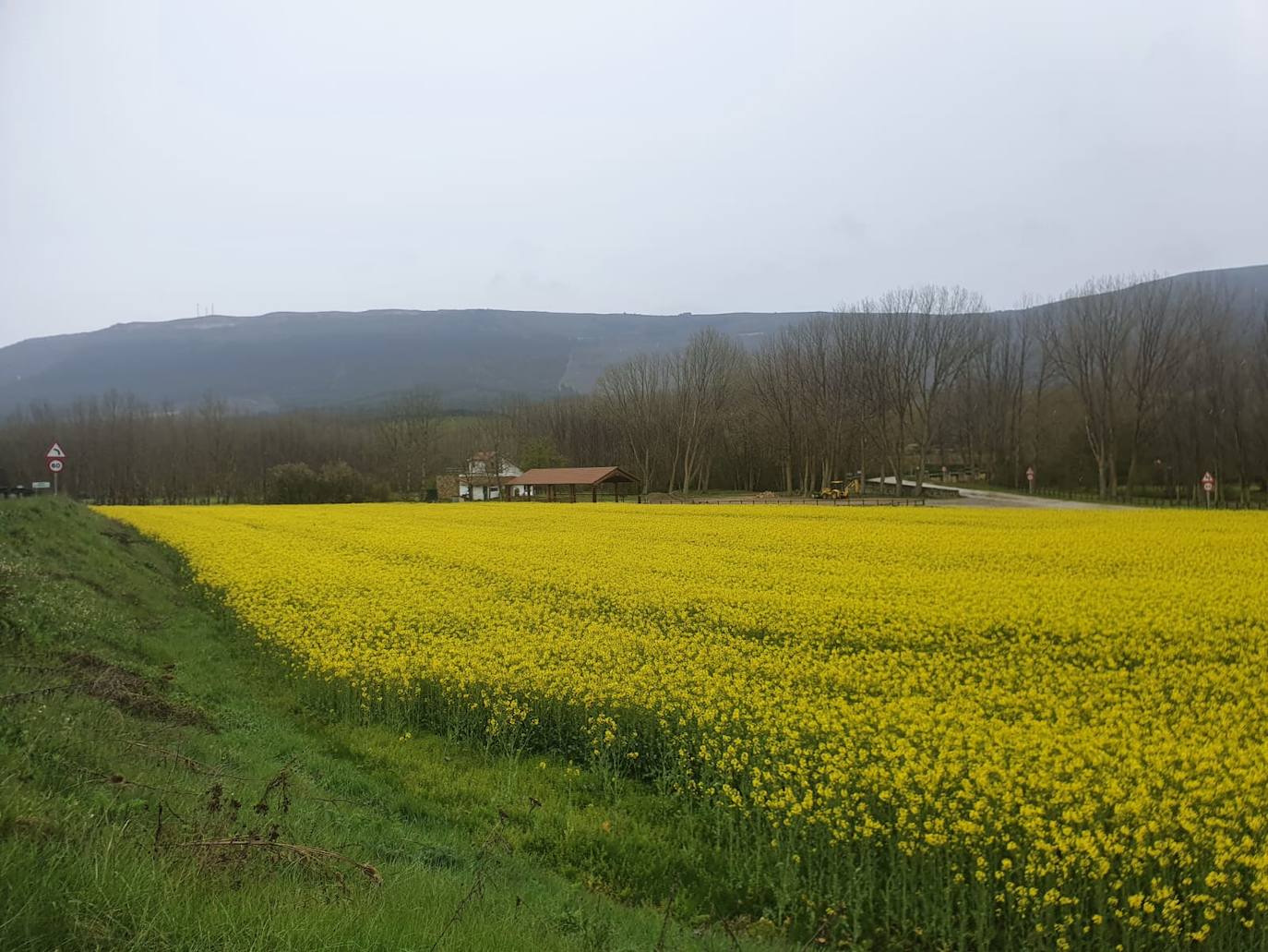 Fotos: Los campos de oro de Valderredible