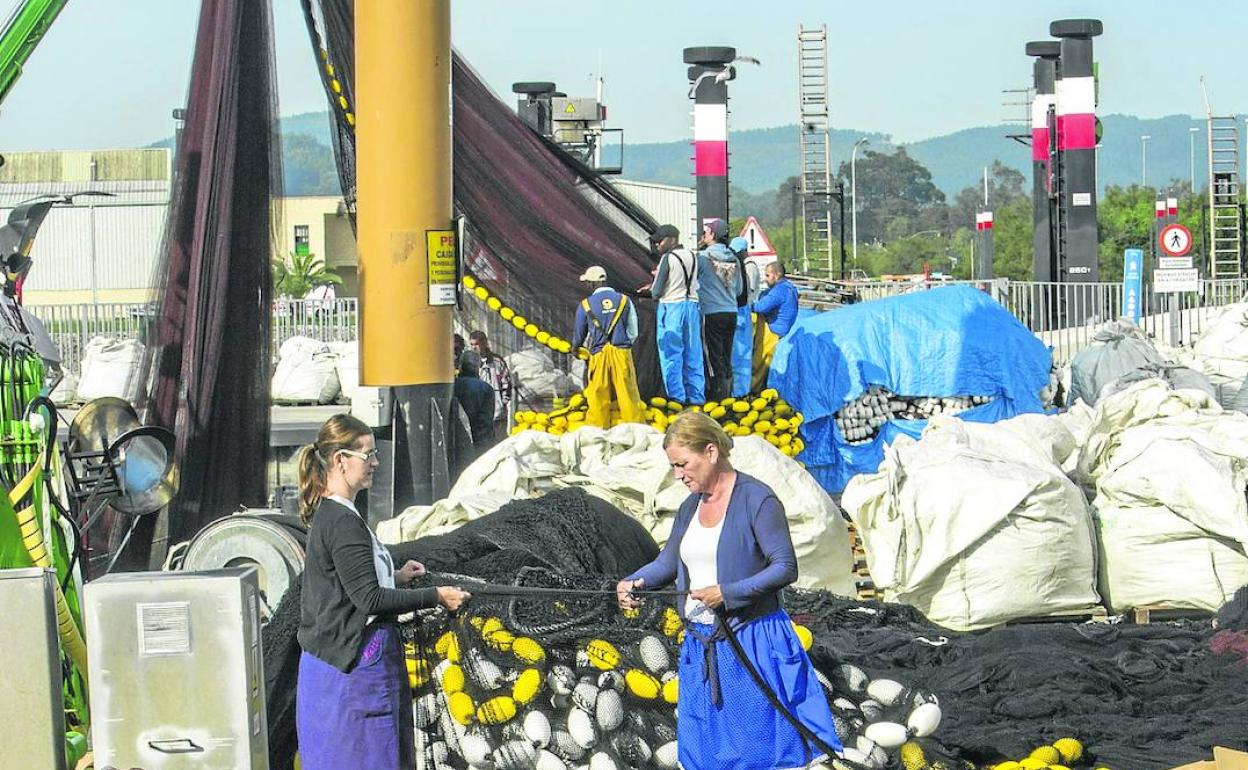 Las rederas faenan en el puerto de Santoña