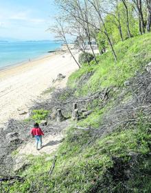 Imagen secundaria 2 - Arriba, una joven salta en el accidentado acceso a Los Peligros. Al lado, la entrada a la segunda playa de El Sardinero, descarnada. Y los restos vegetales entre las playas de Los Peligros y La Magdalena. 