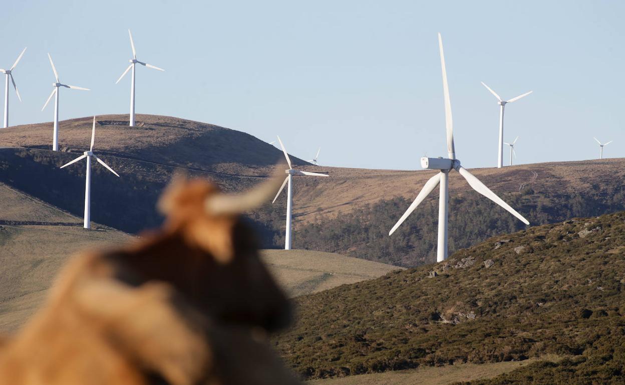 Imagen de aerogeneradores instalados en Galicia.