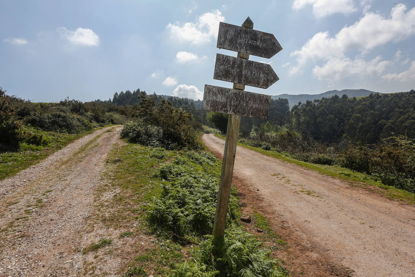 Fotos: Asi deja las rutas del Dobra la falta de mantenimiento