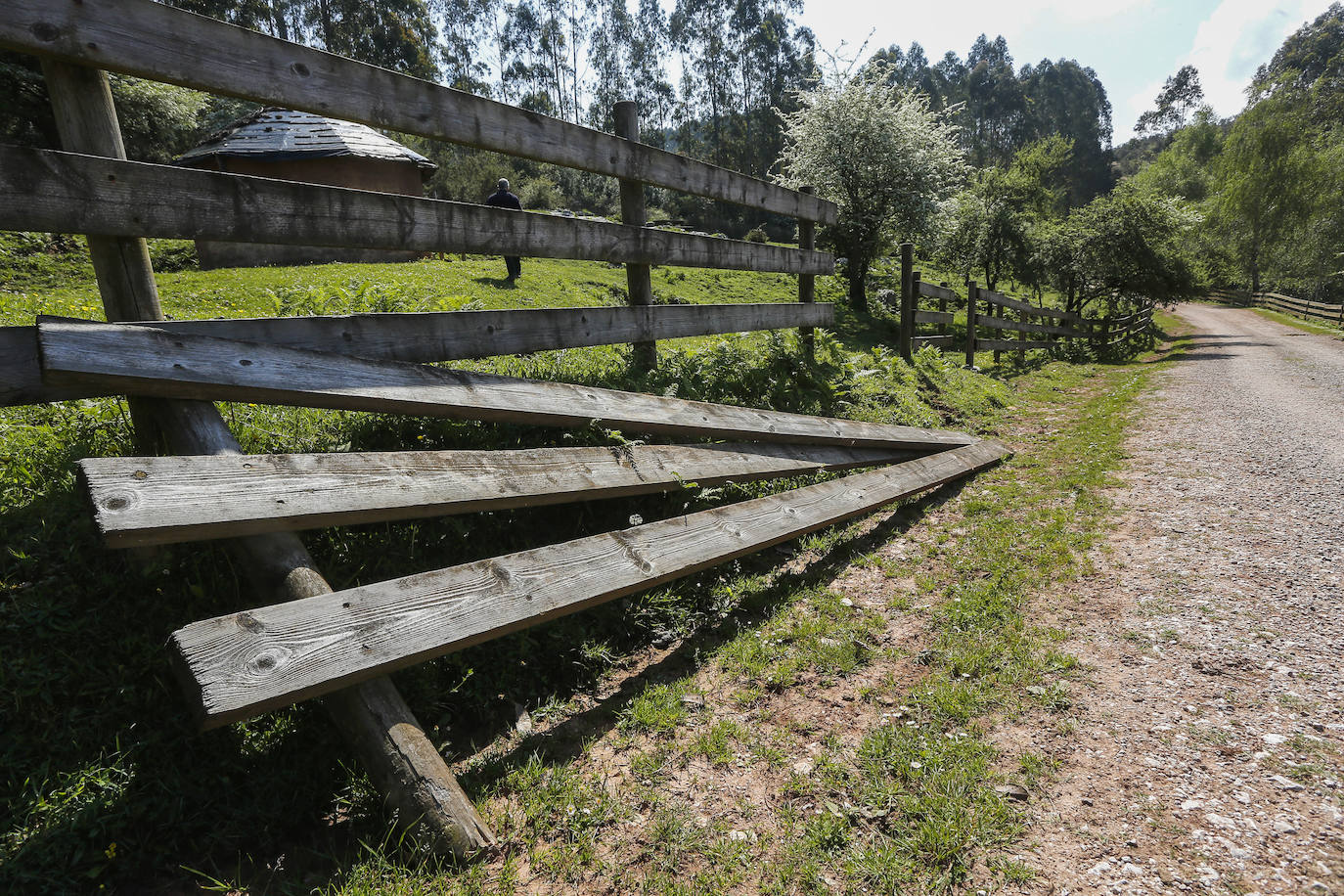 Fotos: Asi deja las rutas del Dobra la falta de mantenimiento