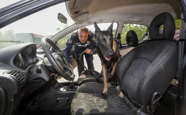 Ismael busca droga en el interior de un coche con la ayuda de Urko. 