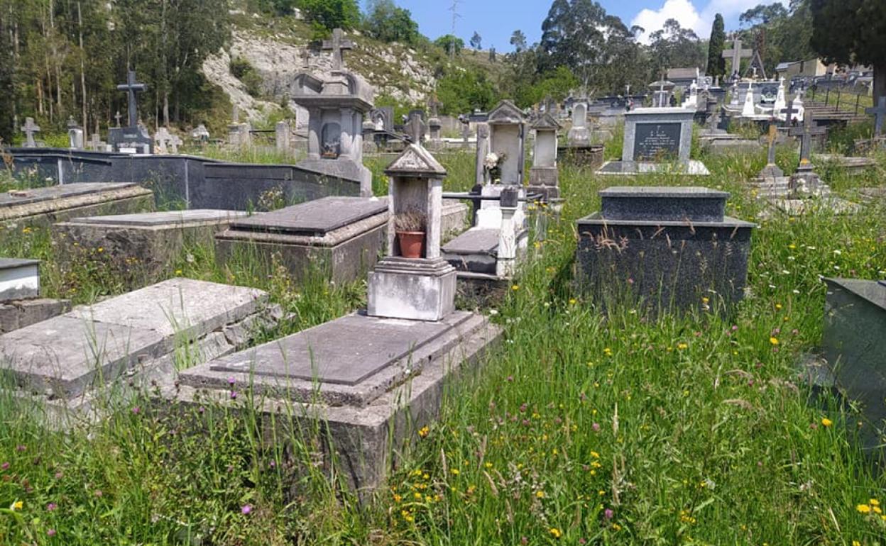 Cementerio histórico de La Cavada, donde apenas se ven las tumbas. 