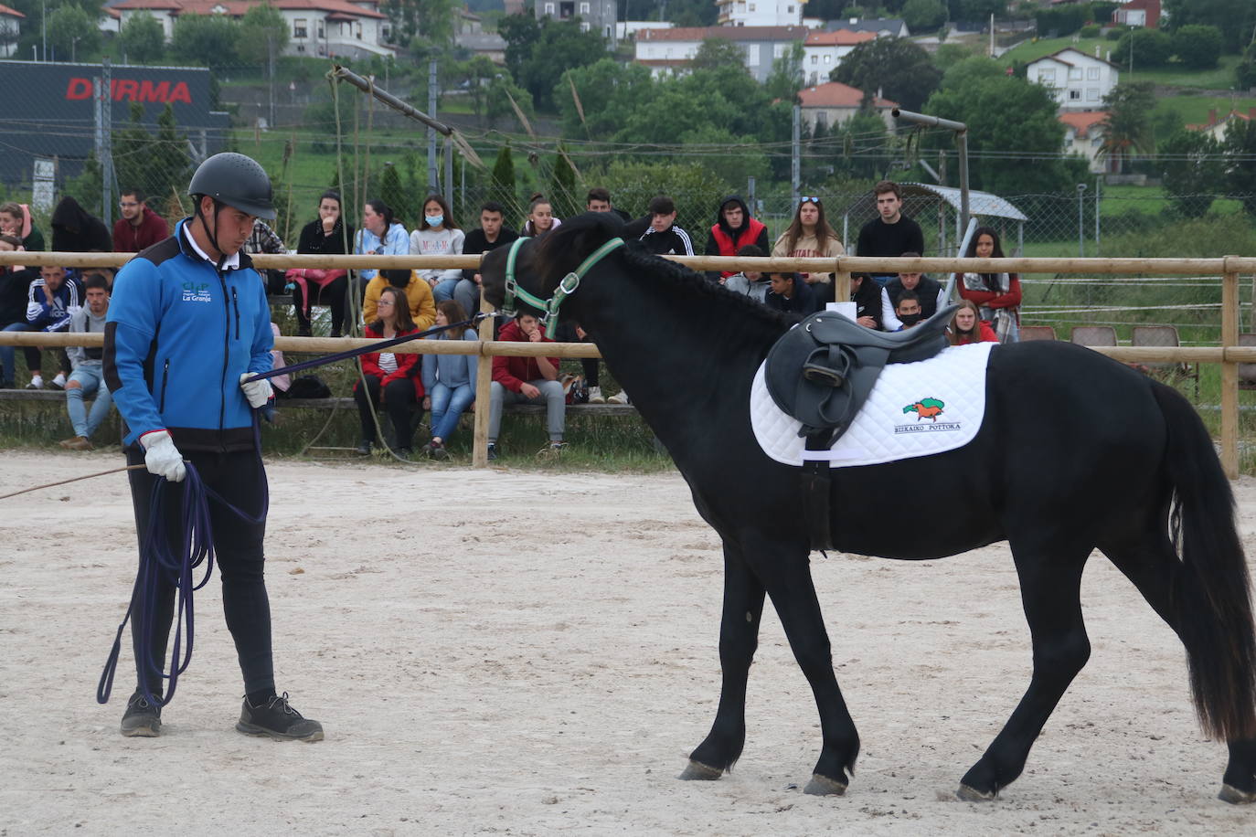 Fotos: Unos potros de premio en Heras