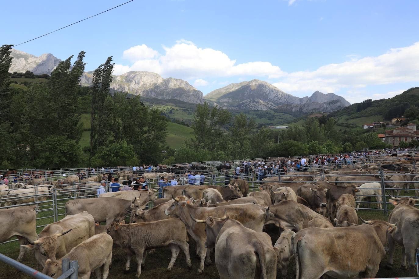 Fotos: Liébana celebra San Isidro