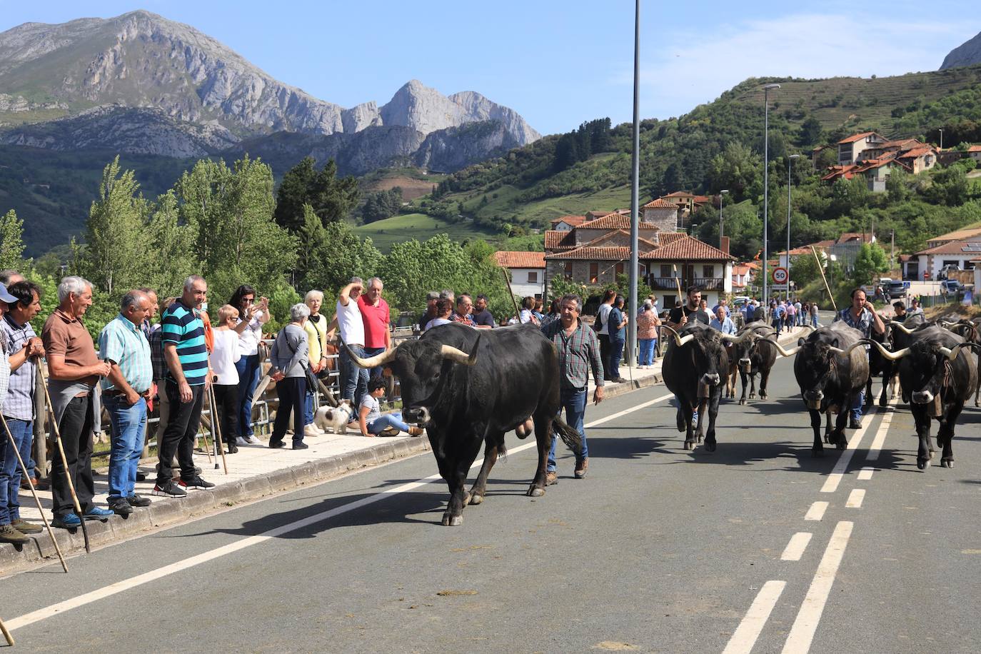 Fotos: Liébana celebra San Isidro