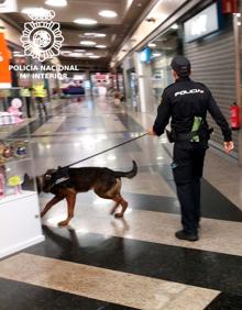 Imagen secundaria 2 - Imágenes del simulacro en el exterior del centro comercial y la intervención de la Unidad de Guías Caninos.