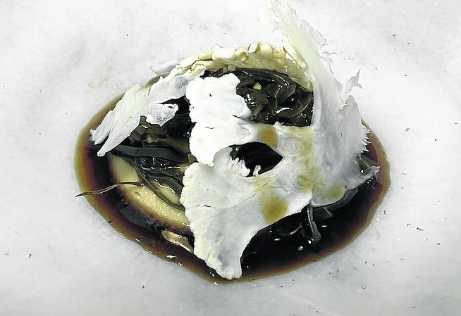 Alga kombu con coliflor. 