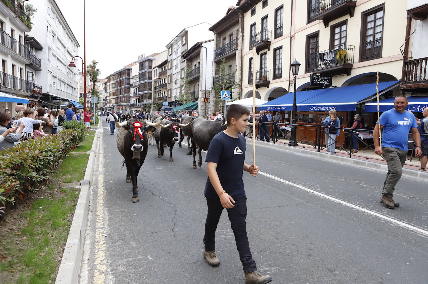 La villa acoge este fin de semana los actos, con feria ganadera incluida, que tradicionalmente se celebran en enero y que fueron aplazados por la pandemia