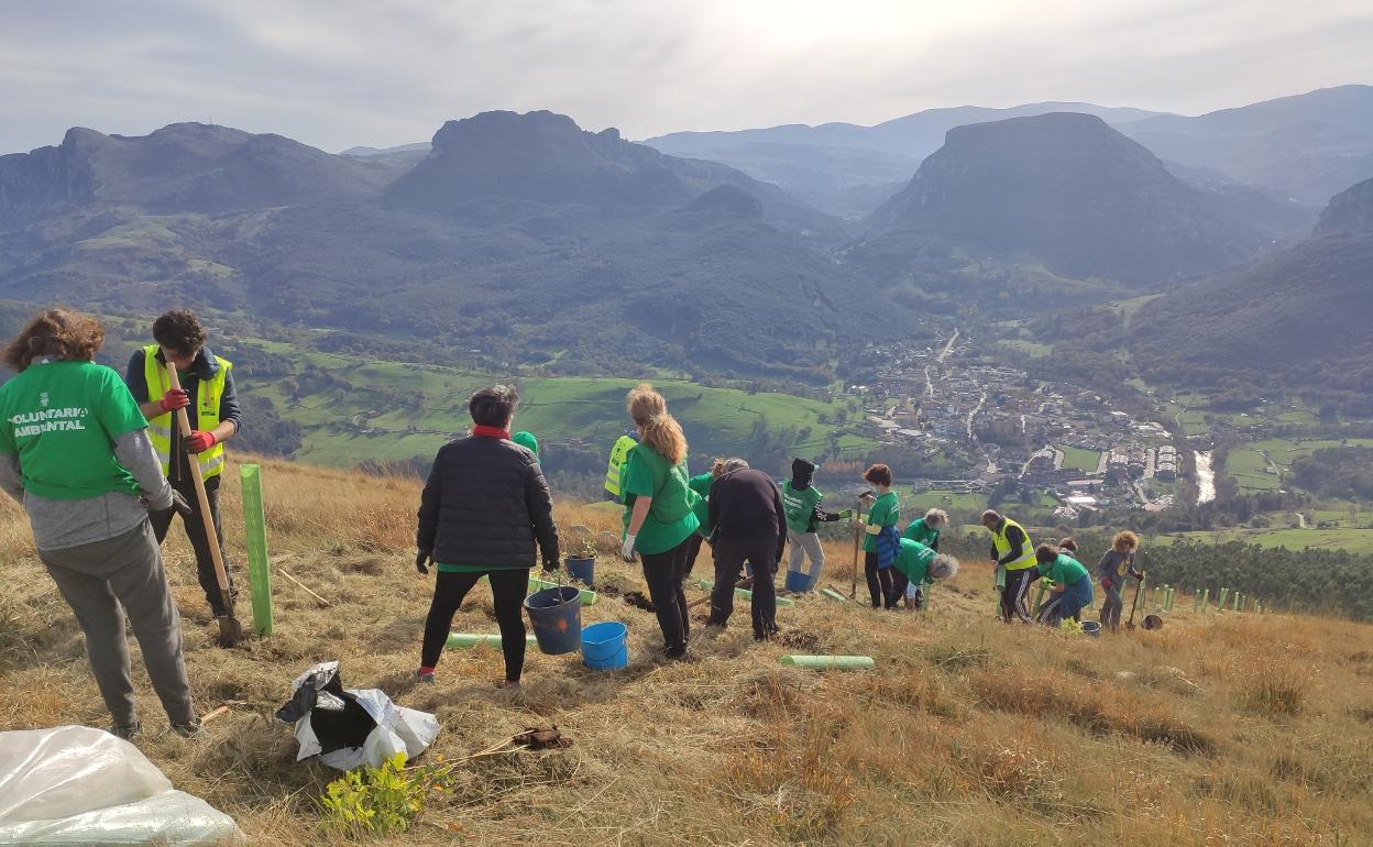 Los voluntarios contribuirán a repoblar con especies autóctonas un paraje de singular encanto natural 