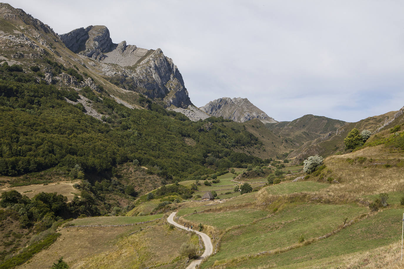 Aunque al avistamiento de osos en libertad no es tarea fácil y cuando se tiene suerte hay que hacerlo a una distancia entre 500 y 2.000 metros apreciando unas pequeñas motitas que se mueven entre roquedos y bosques, en la excursión se pueden apreciar otros animales como el gato montés, venados y rebecos, el esquivo urogallo, el águila real y el quebrantahuesos, y con suerte algún lobo o zorro. Por supuesto, no faltan las razas domésticas autóctonas como el caballo asturcón o la vaca carreñana, vigilados de cerca por los pacientes vaqueiros. Pero tal vez lo mejor de esta visita a la Cordillera Cantábrica sea el escenario en que todos esos animales caminan o vuelan porque aquí se encuentran también 142 especies de mariposas, dos tercios del total que hay en España.