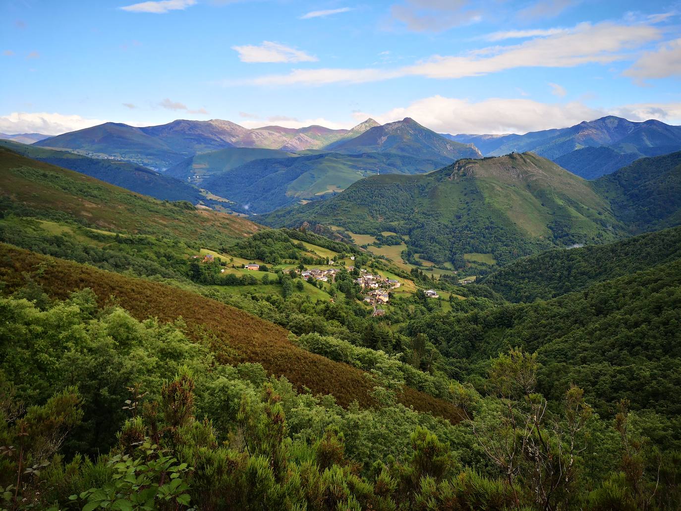 Aunque al avistamiento de osos en libertad no es tarea fácil y cuando se tiene suerte hay que hacerlo a una distancia entre 500 y 2.000 metros apreciando unas pequeñas motitas que se mueven entre roquedos y bosques, en la excursión se pueden apreciar otros animales como el gato montés, venados y rebecos, el esquivo urogallo, el águila real y el quebrantahuesos, y con suerte algún lobo o zorro. Por supuesto, no faltan las razas domésticas autóctonas como el caballo asturcón o la vaca carreñana, vigilados de cerca por los pacientes vaqueiros. Pero tal vez lo mejor de esta visita a la Cordillera Cantábrica sea el escenario en que todos esos animales caminan o vuelan porque aquí se encuentran también 142 especies de mariposas, dos tercios del total que hay en España.