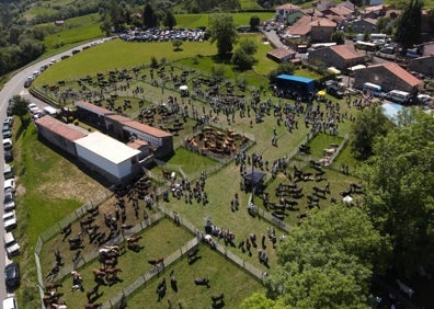 Imagen secundaria 1 - Las ferias tuvieron una gran participación en Valdáliga y en Miera. 