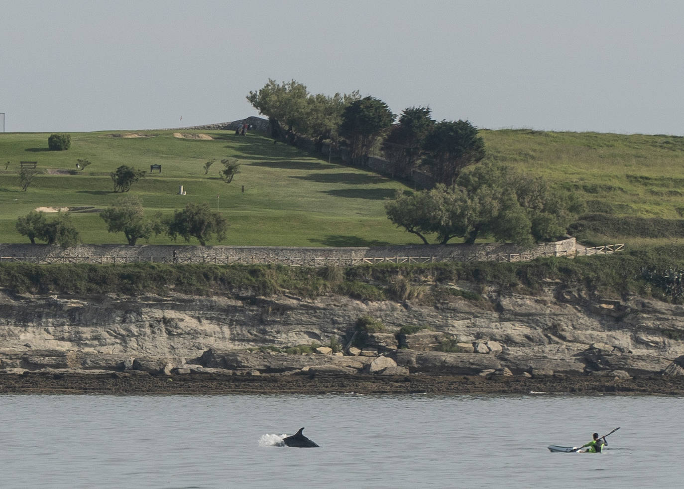 Los delfines se dejaron ver por primera vez en la playa de El Sardinero a media mañana. 