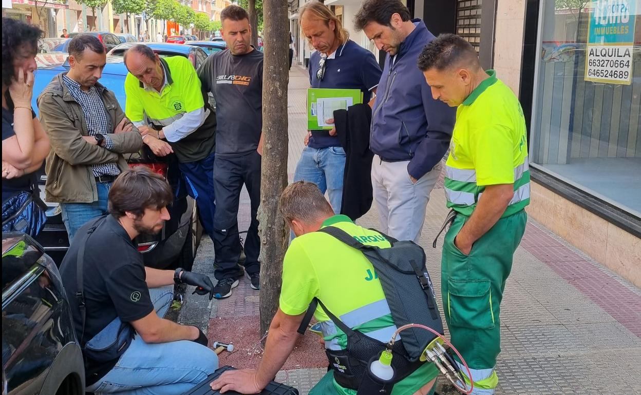 Castro adquiere un equipo de endoterapia para tratar el arbolado contra plagas