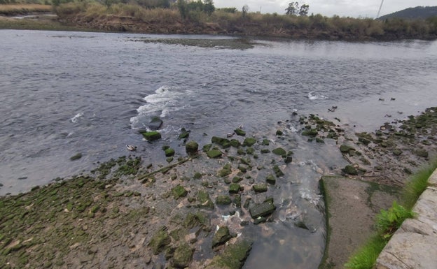 Imagen principal - La Plataforma en defensa del Saneamiento del Río Asón documenta 20 puntos de vertidos sin tratar