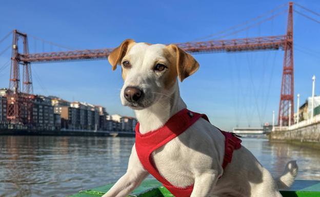 Bajo el Puente Bizkaia.