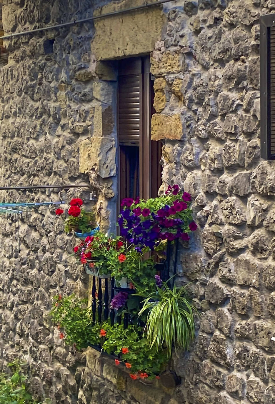 Fotos: Los balcones más floridos de Laredo