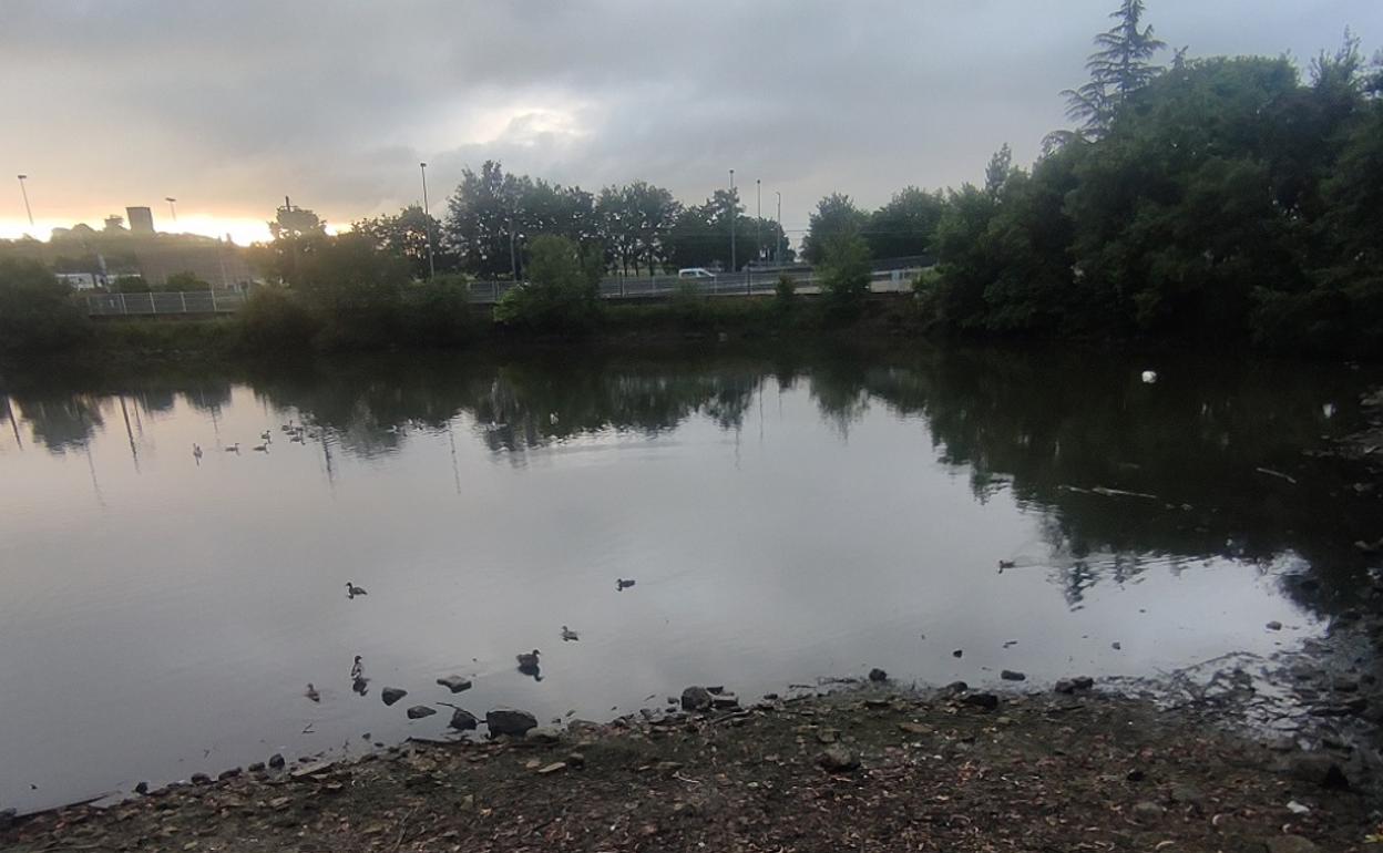 El estanque de La Cantábrica registra cada vez menos cota de agua. 