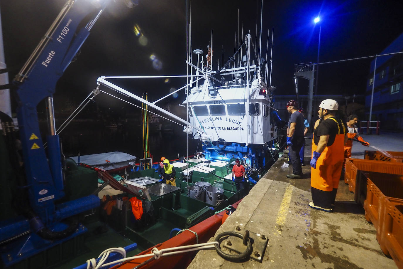 Fotos: Descarga de bonito en Santoña y subasta en la lonja de Laredo