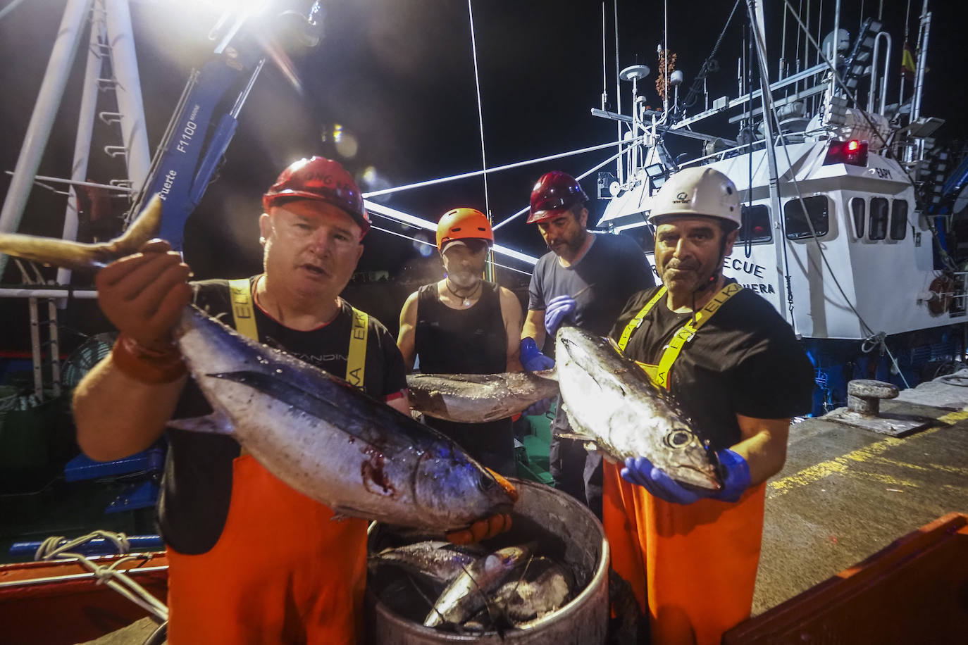 Fotos: Descarga de bonito en Santoña y subasta en la lonja de Laredo